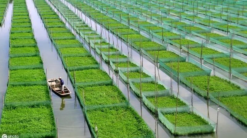 生鲜配送加盟十大品牌推荐