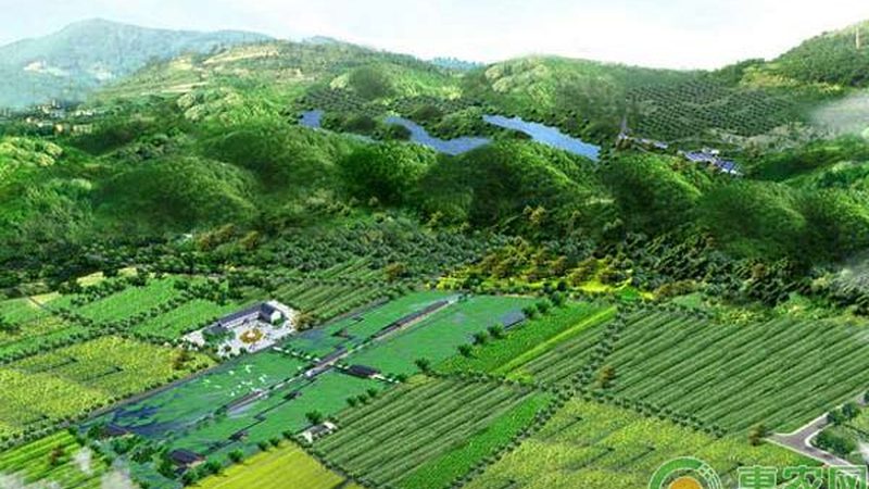 日光温室骨架结构设计：关键要素与标准解析