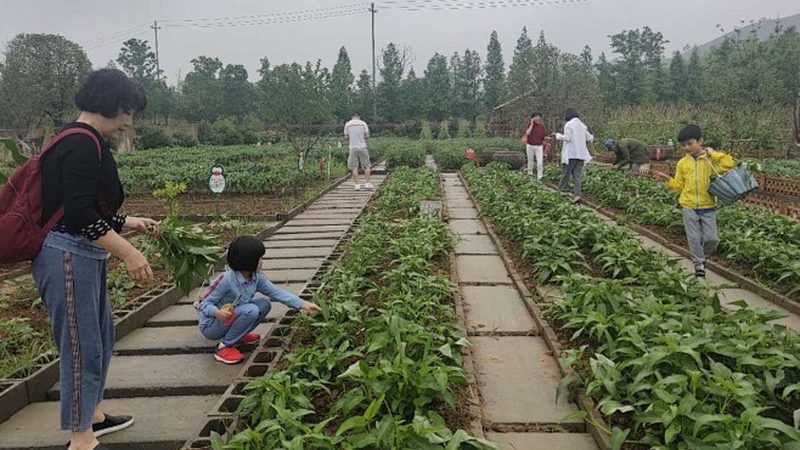 农业产业园省级申报，如何把握关键点？**