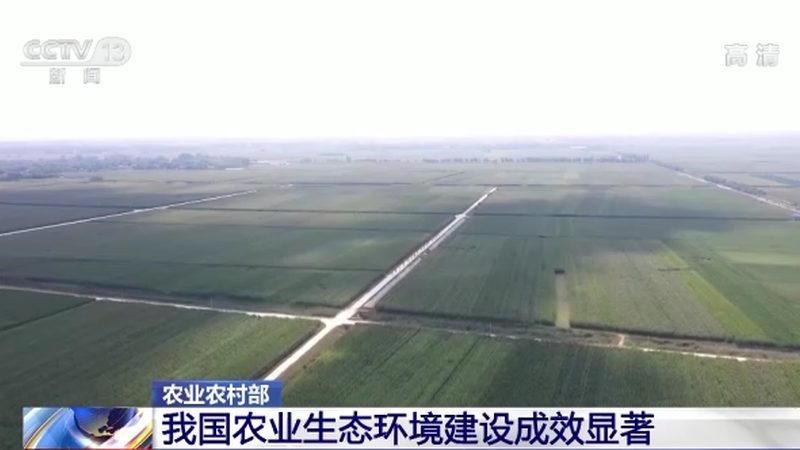 农产品批发与零售：营销策略的差异化布局