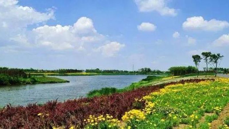 农业种植技术网课平台：课程差异解析