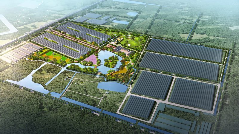 生态农业加盟：揭秘加盟流程与关键步骤