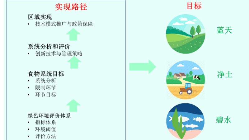 绘制农资价格行情走势图，掌握市场动态的秘诀