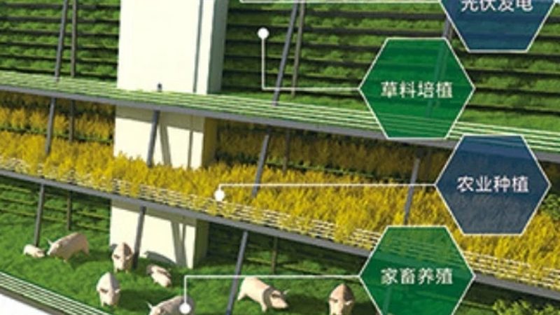 果蔬冷链物流：保障品质，连接产地与餐桌