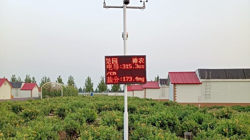 上海周边生态农业采摘基地：如何选择高品质的绿色乐园**
