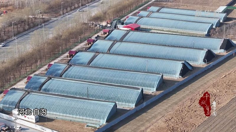 生态农业：探寻盈利模式的多元路径**