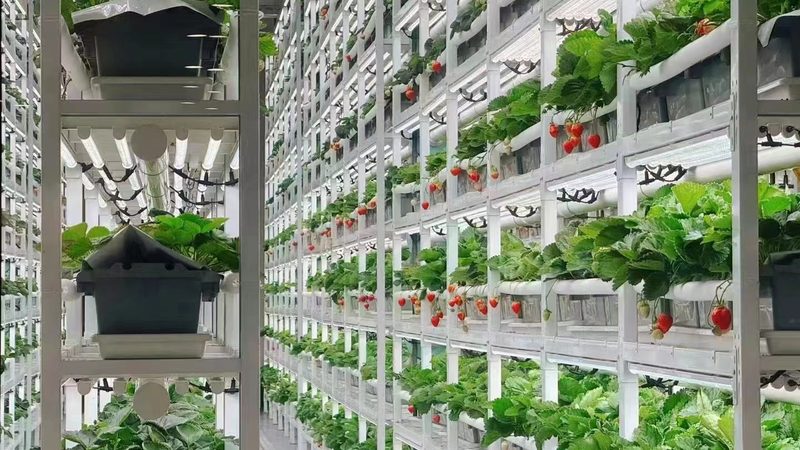 在众多绿色食品检测公司中，以下几家公司在广州具有较高的知名度和良好的口碑：
