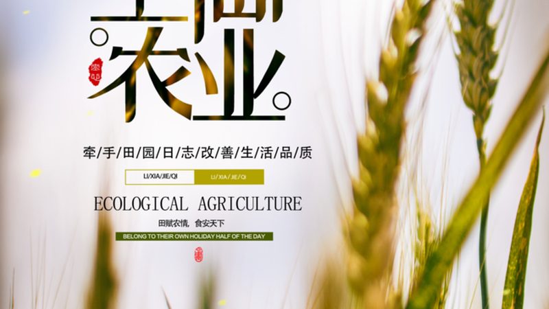 高山水果种植：如何实现利润最大化**